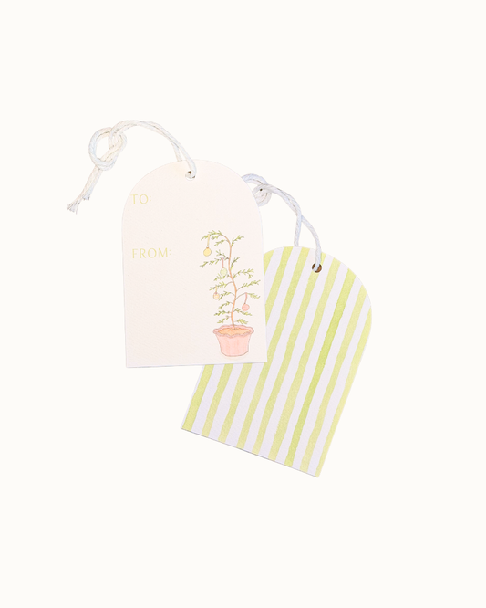 Squiggle Tree Gift Tags, 6 Pack