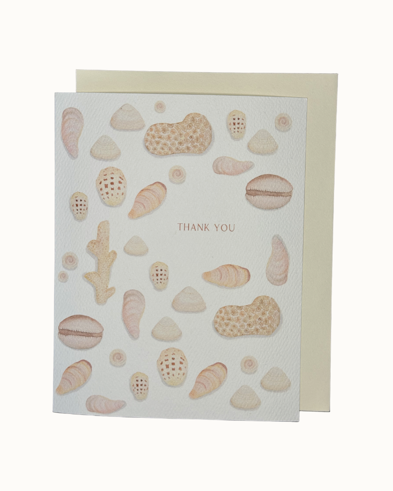 Seashell Thank You