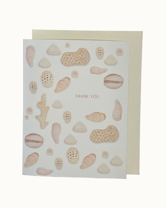 Seashell Thank You