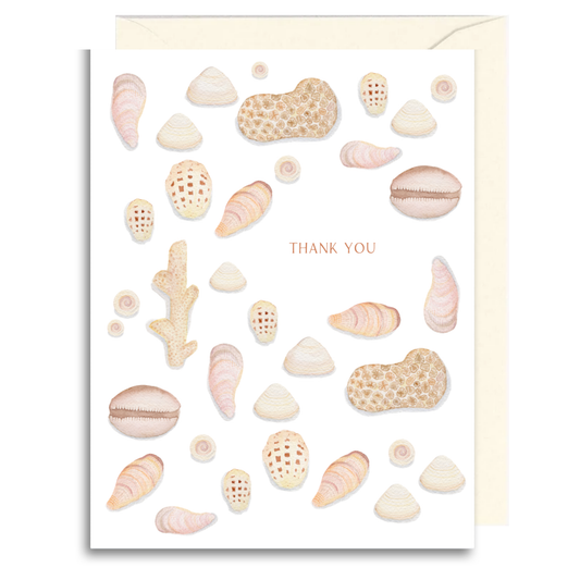 Seashell Thank You